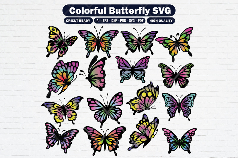 set-of-colorful-butterfly-svg-png