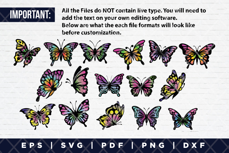 set-of-colorful-butterfly-svg-png