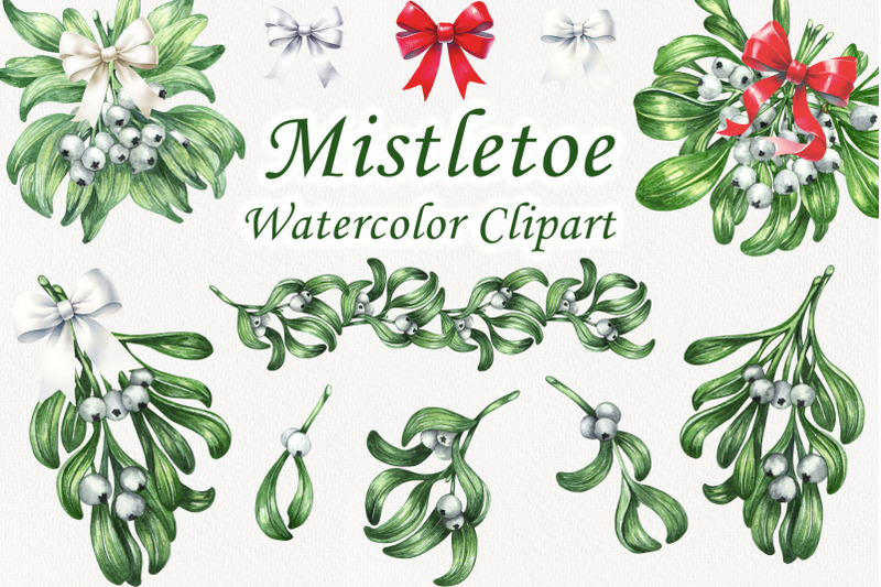 watercolor-botanical-mistletoe-set