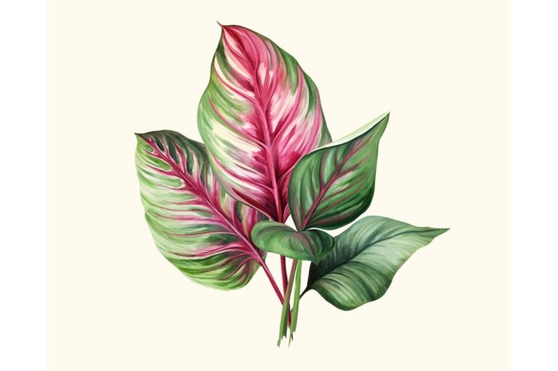 caladium-tropical-leaves-patterns-and-elements-floral-exotic-clipart