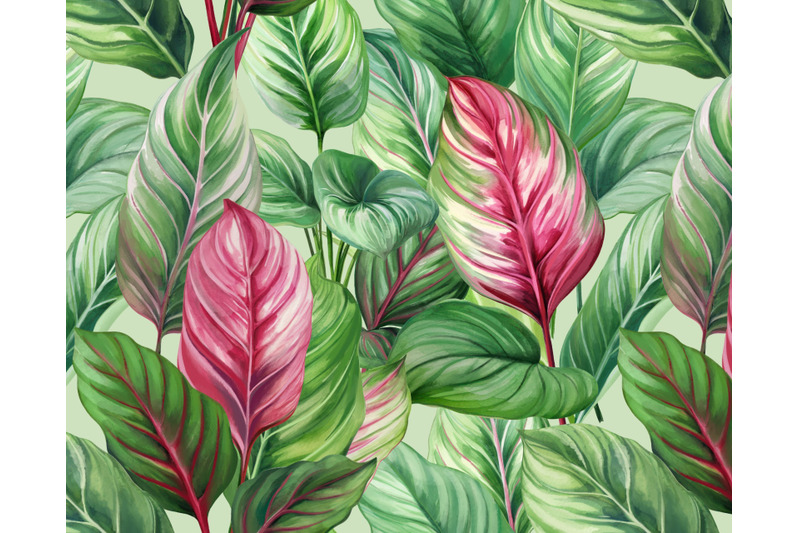 caladium-tropical-leaves-patterns-and-elements-floral-exotic-clipart