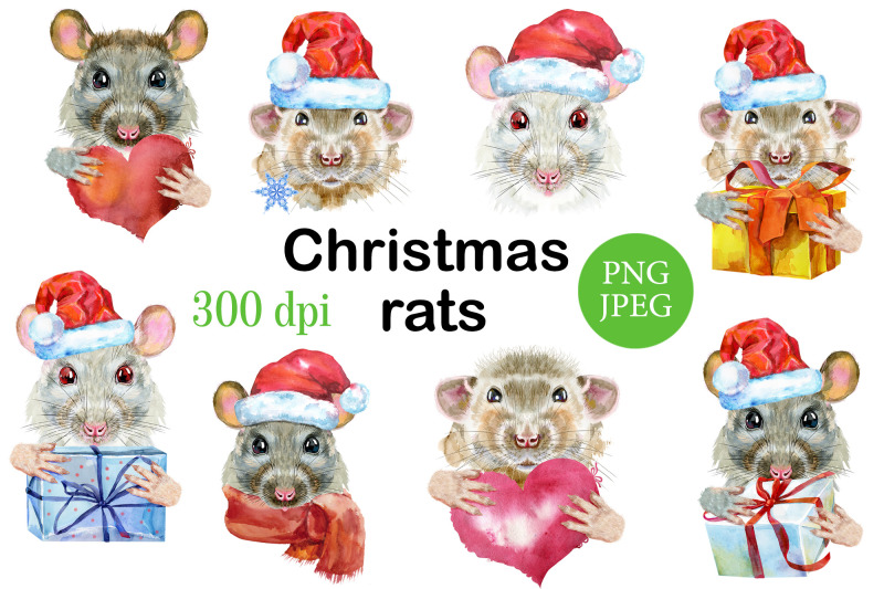christmas-rats