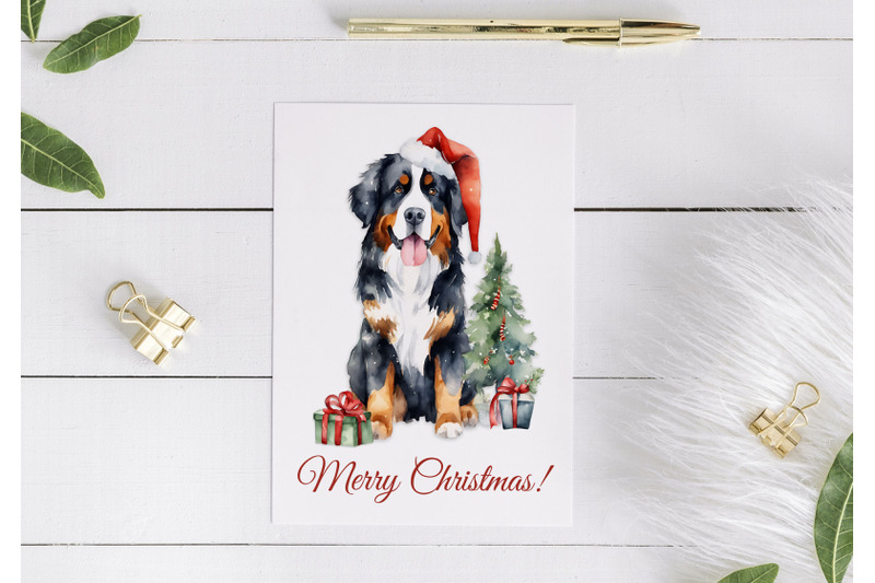 bernese-mountain-dog-christmas-card-graphic
