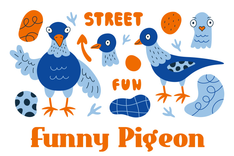 funny-pigeon