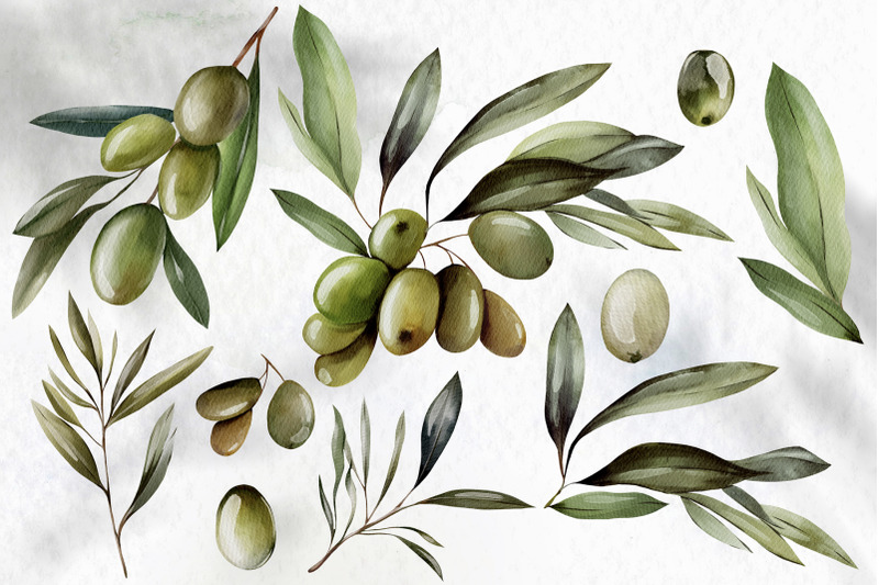 watercolor-olives-amp-lemons