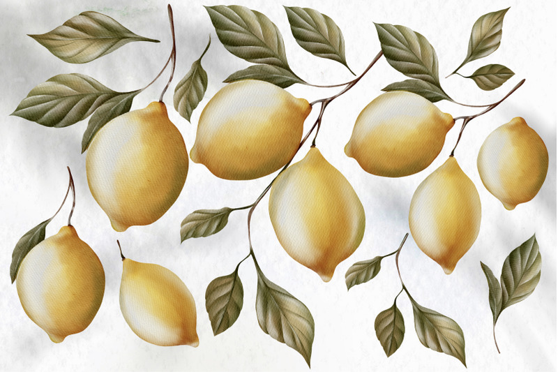 watercolor-olives-amp-lemons