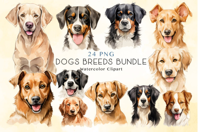 24-dog-breeds-clipart-bundle