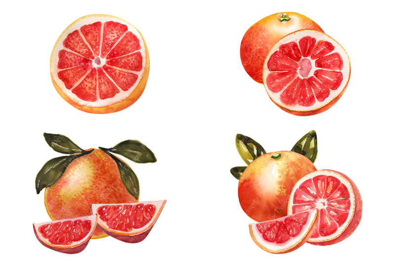 watercolor-citrus-fruit-clip-art