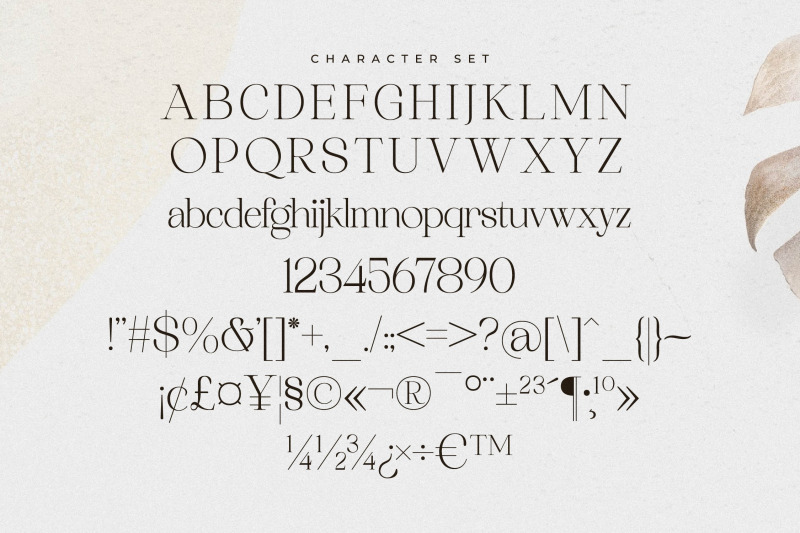asthelica-questak-font-duo