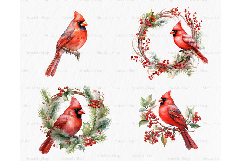 red-cardinal-bird-clipart-png