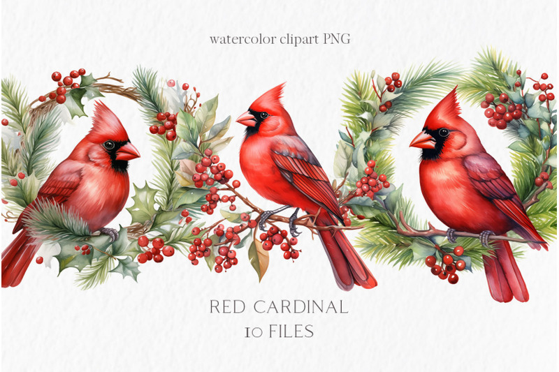 red-cardinal-bird-clipart-png