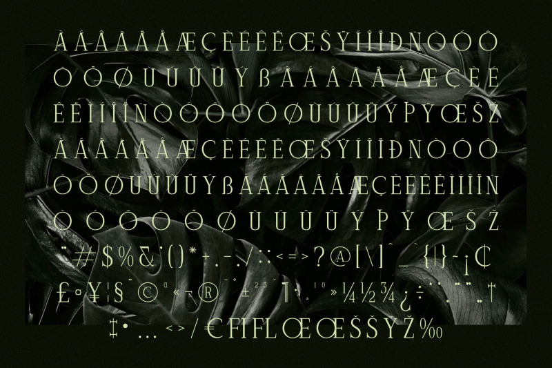 celliqath-typeface