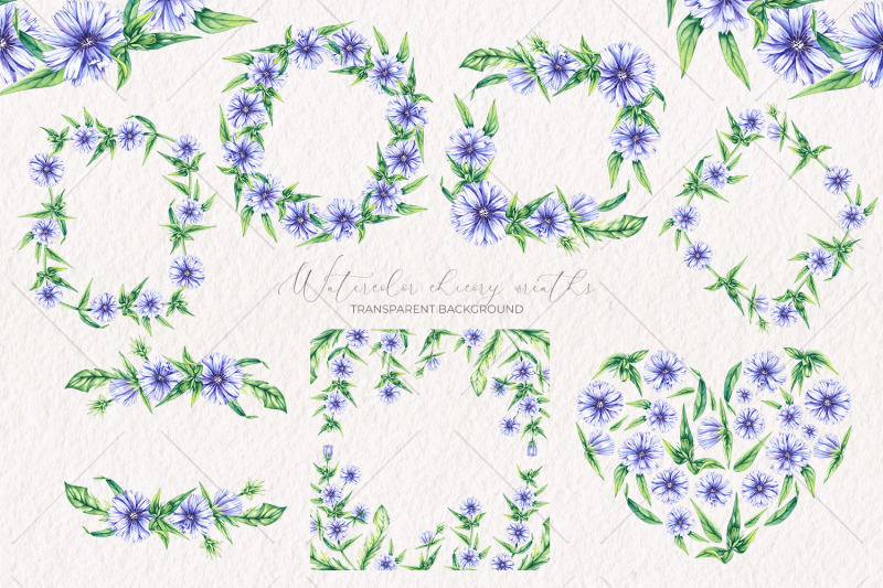 watercolor-chicory-wreaths-clipart-png
