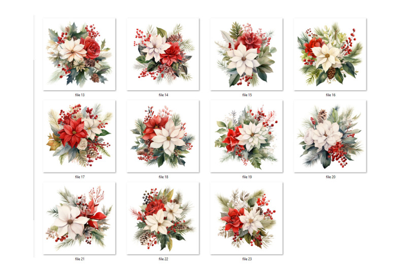 poinsettia-watercolor-clipart-png