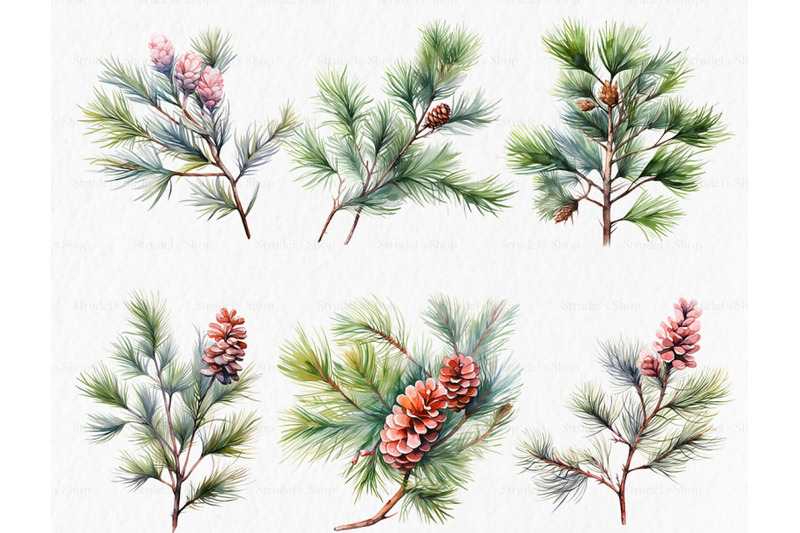 christmas-floral-clipart