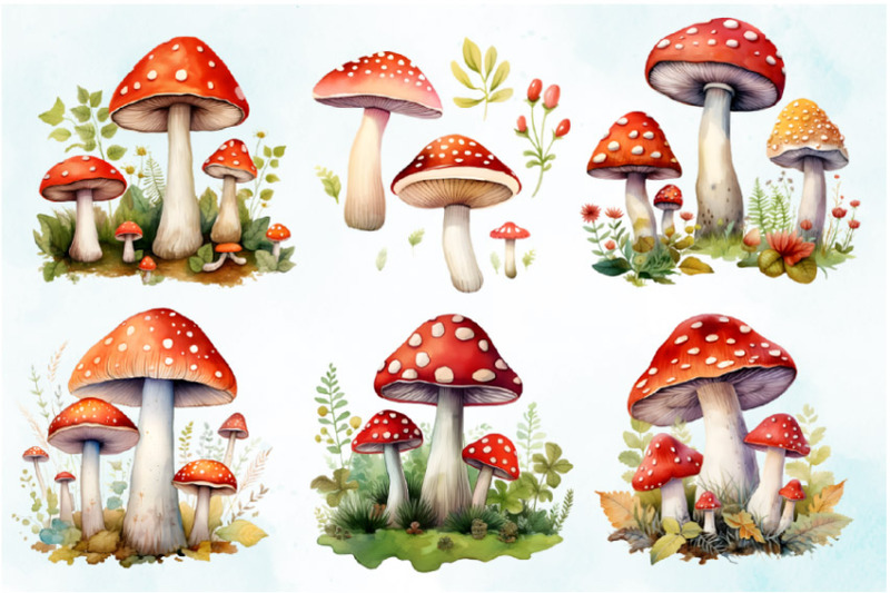 watercolor-mushrooms-clipart-bundle