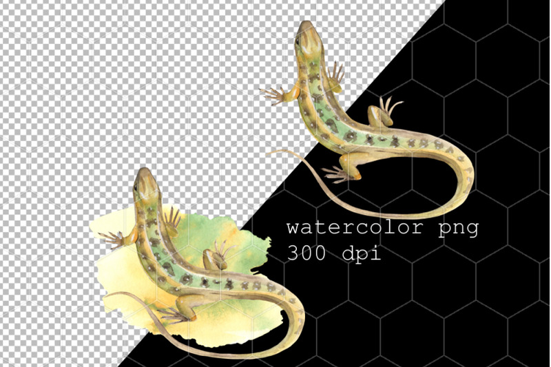 watercolor-lizard-png-sublimation-design