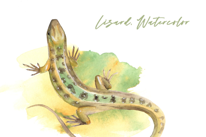 watercolor-lizard-png-sublimation-design