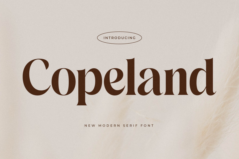 copeland-new-modern-serif-font