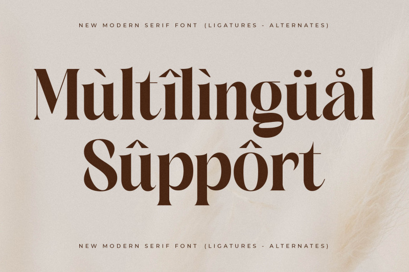 copeland-new-modern-serif-font