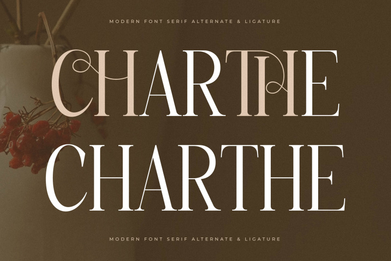 charthe-modern-font-serif