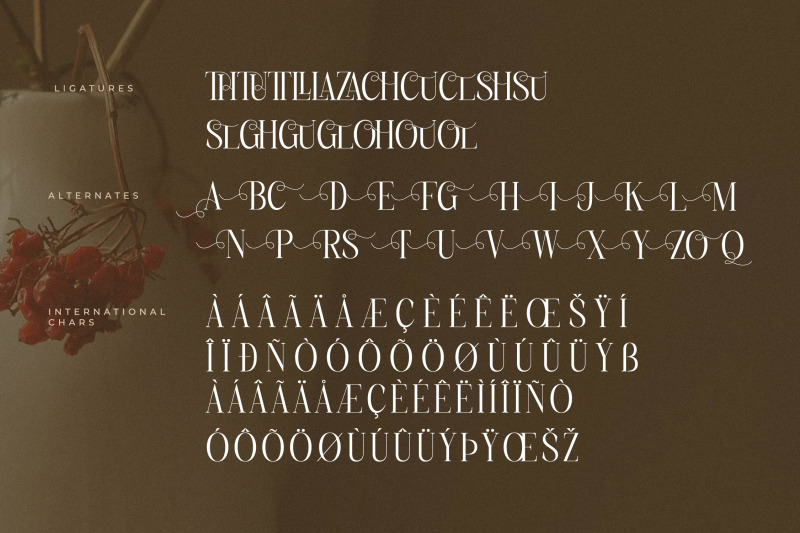 charthe-modern-font-serif
