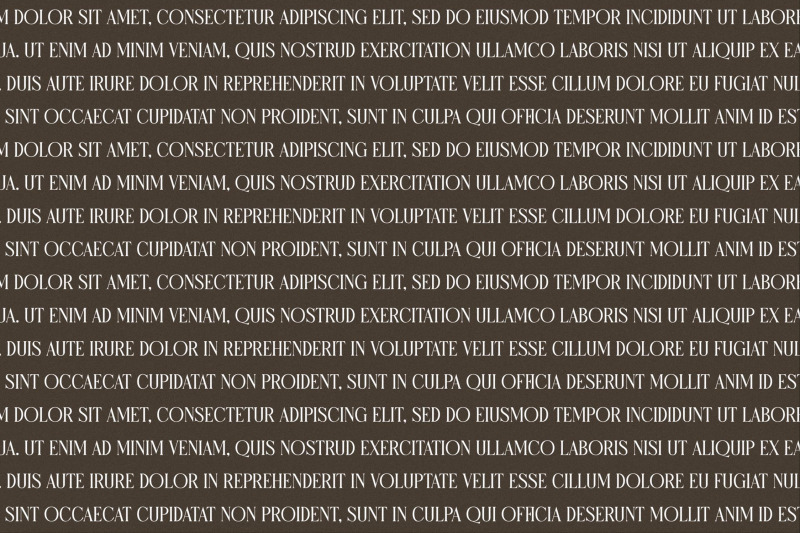 micksenav-display-serif-font