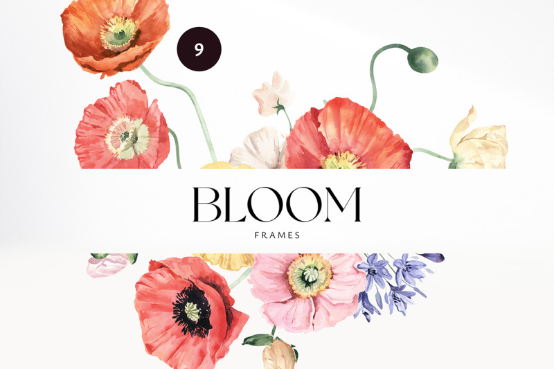 bloom-watercolor-set