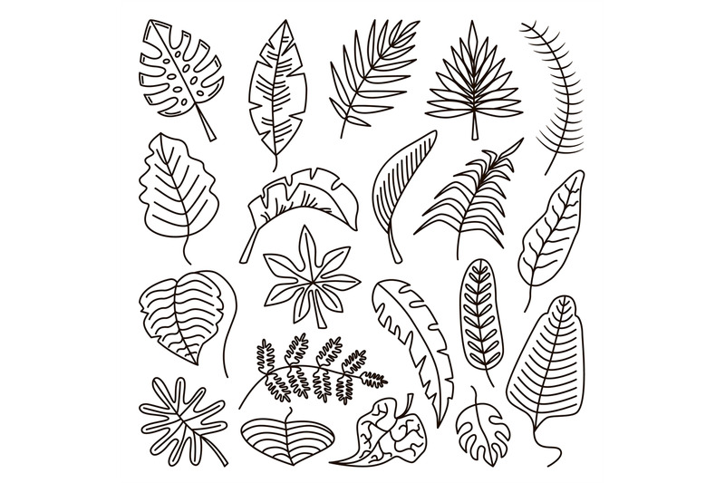 doodle-tropical-outline-leaves-leaf-exotic-line-contour-isolated-set