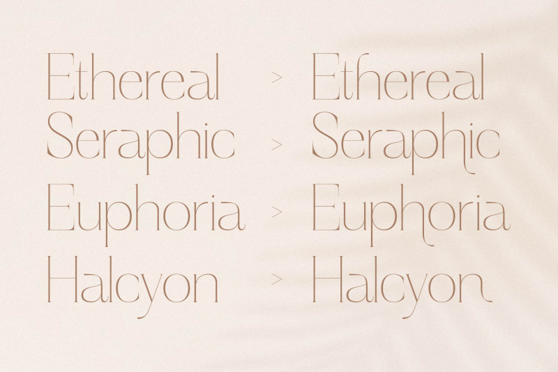 haloyen-stylish-font-serif