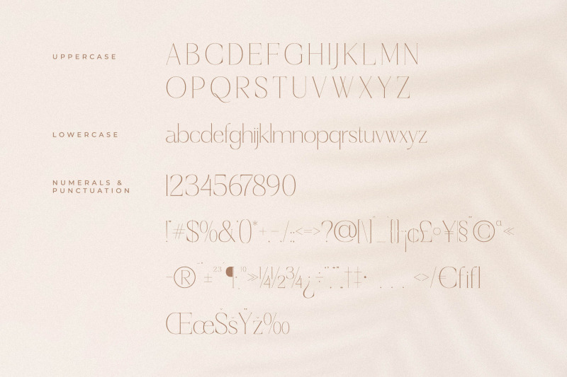 haloyen-stylish-font-serif