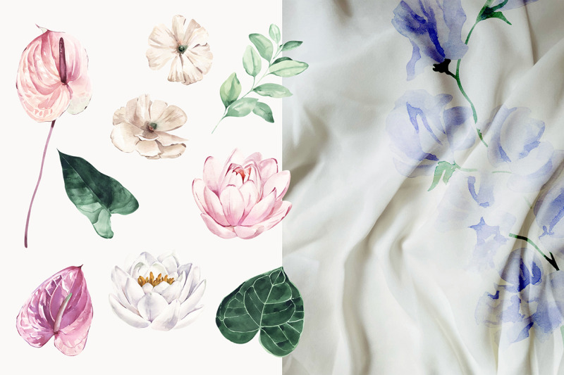 bloom-watercolor-elements