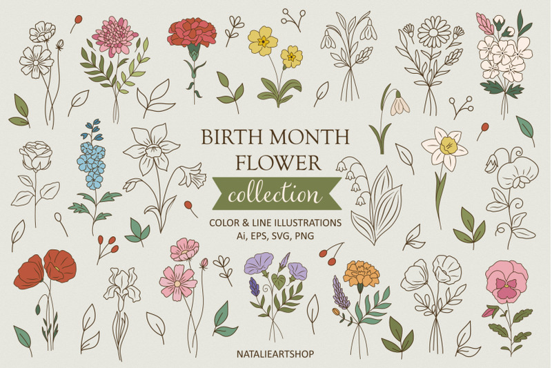 birth-month-flower-collection