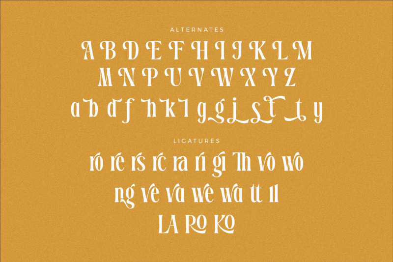 dreavolt-serif-display-font