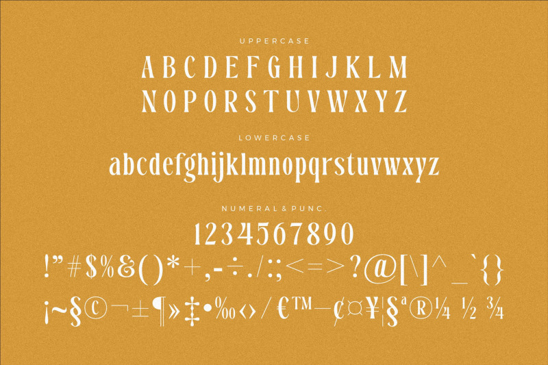 dreavolt-serif-display-font