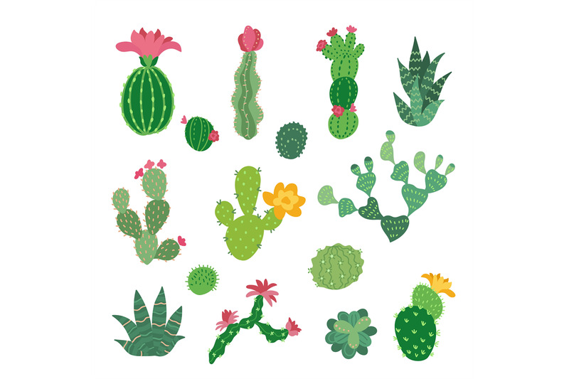 decorative-cactus-collection-cacti-flowers-symbols-mexico-desert-pla