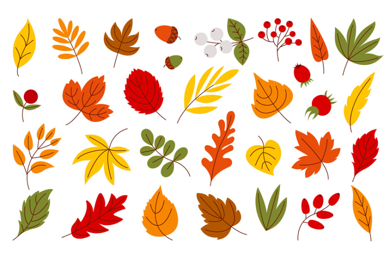 flat-autumn-leaves-harvest-seasonal-leaf-isolated-foliage-and-berrie