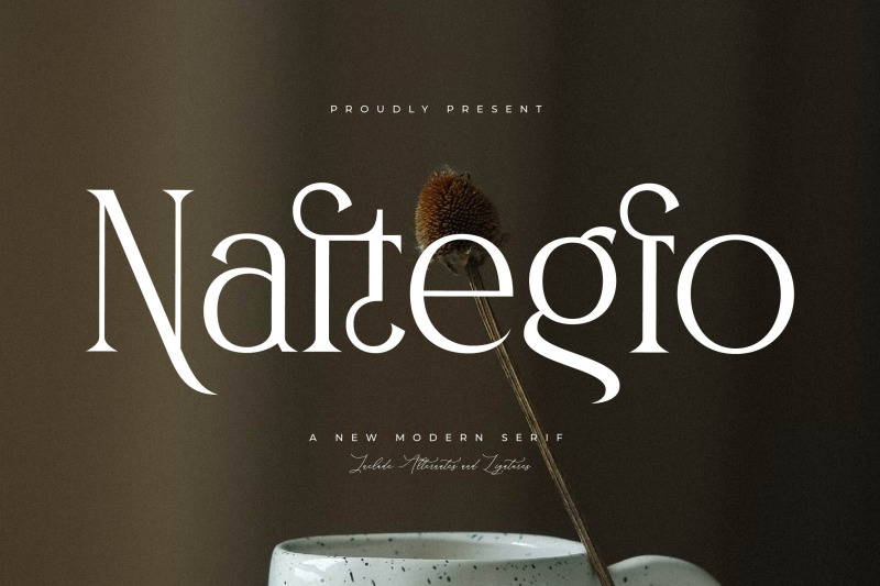 naftegfo-a-new-modern-serif