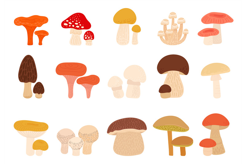 isolated-cartoon-mushrooms-shiitake-mushroom-fungus-and-amanita-tru