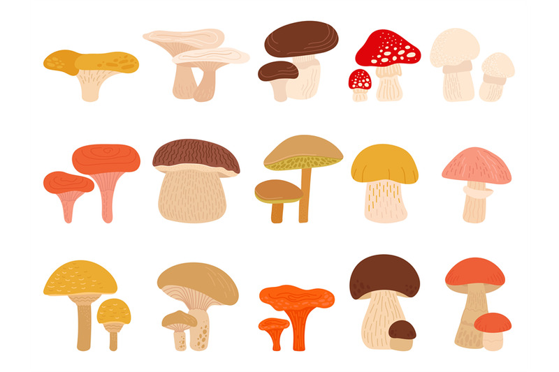 cartoon-forest-mushrooms-set-toadstool-mushroom-chanterelle-boletus