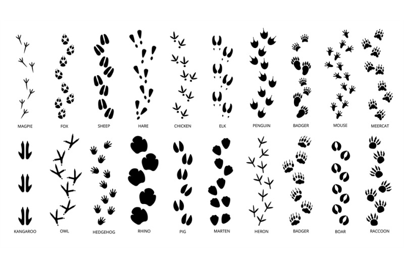 animals-footprints-tracks-black-silhouettes-pawprints-isolated-anima