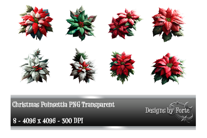 christmas-poinsettia-graphics-png