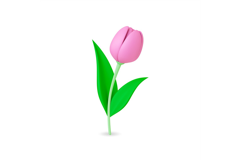 flower-tulip-3d-decorative-isolated-floral-graphic-element-trendy-pl