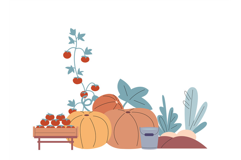 harvest-season-graphic-elements-isolated-pumpkins-tomatoes-plants
