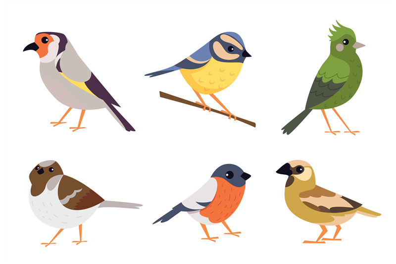 birds-cartoon-flying-animals-colored-birds-exact-vector-collection