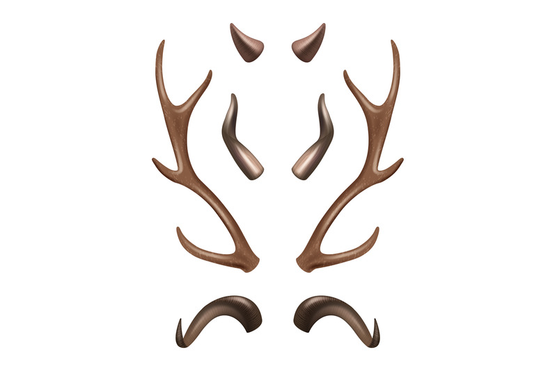 horns-different-shapes-of-wild-animals-horns-decent-vector-realistic