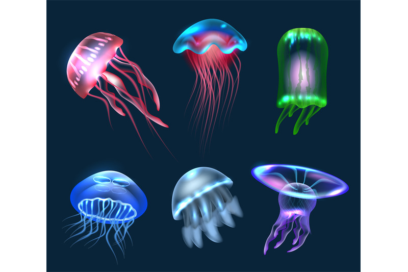 fantasy-jellyfish-transparent-underwater-jellyfish-collection-decent