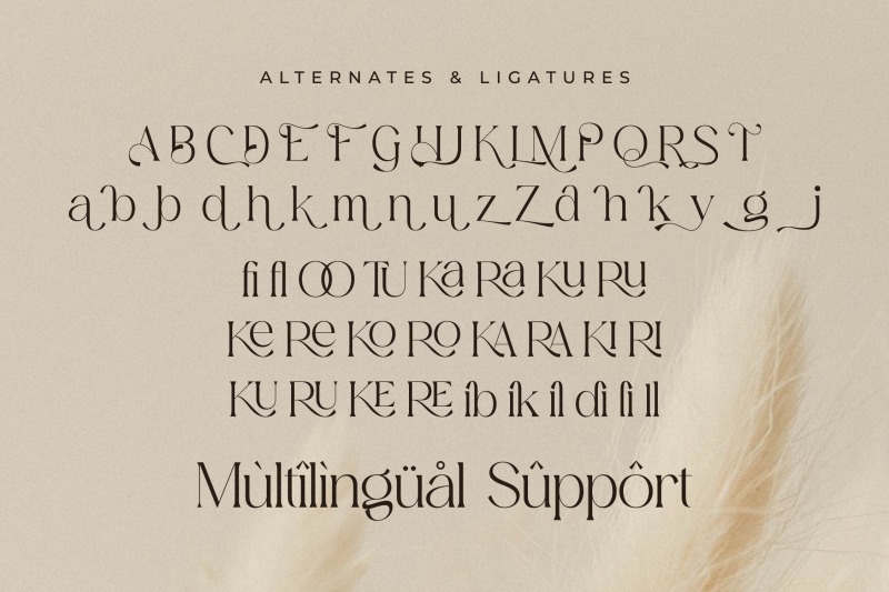 aurora-magnollia-font-duo