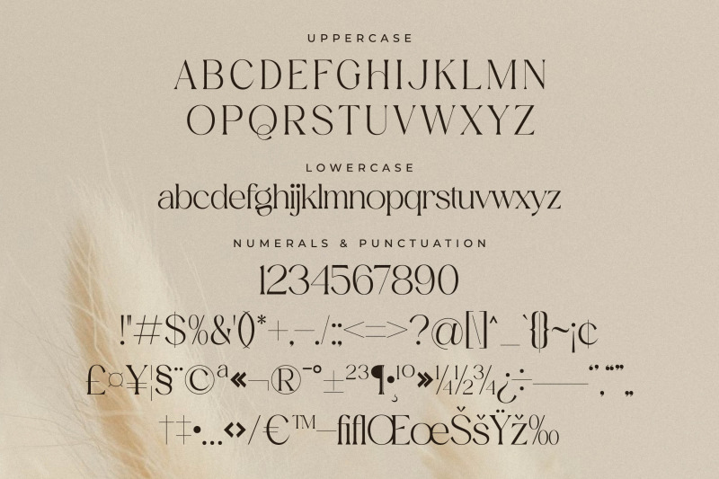 aurora-magnollia-font-duo