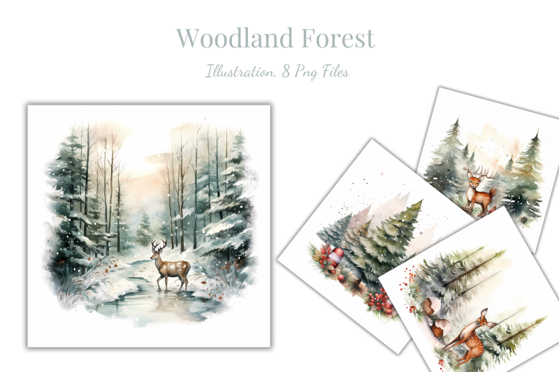 woodland-forest-illustration-pack